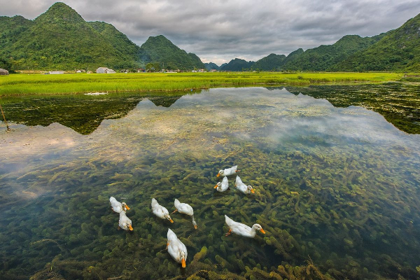 Incredible Bac Son Tour - 2 Days - photo 33